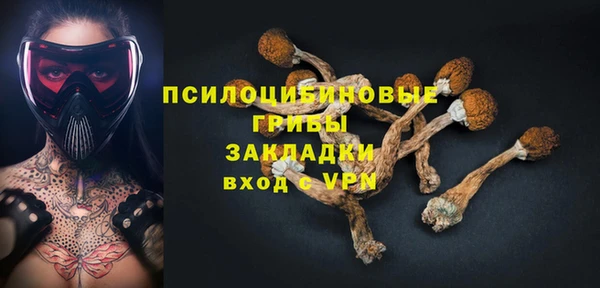 шишки Алексеевка