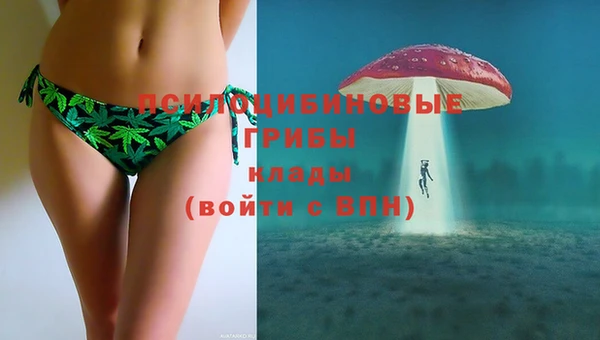 Альфа ПВП Арсеньев
