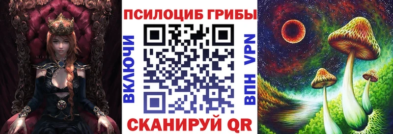 OMG Свирск Галлюциногенные грибы Psilocybine cubensis
